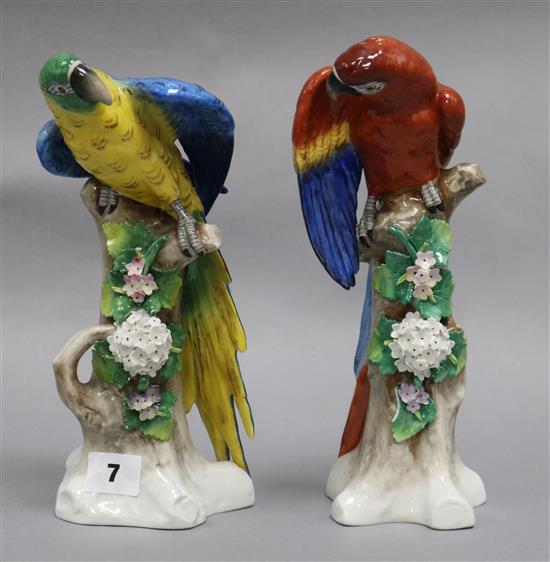 Two Sitzendorf parrots tallest 26.5cm